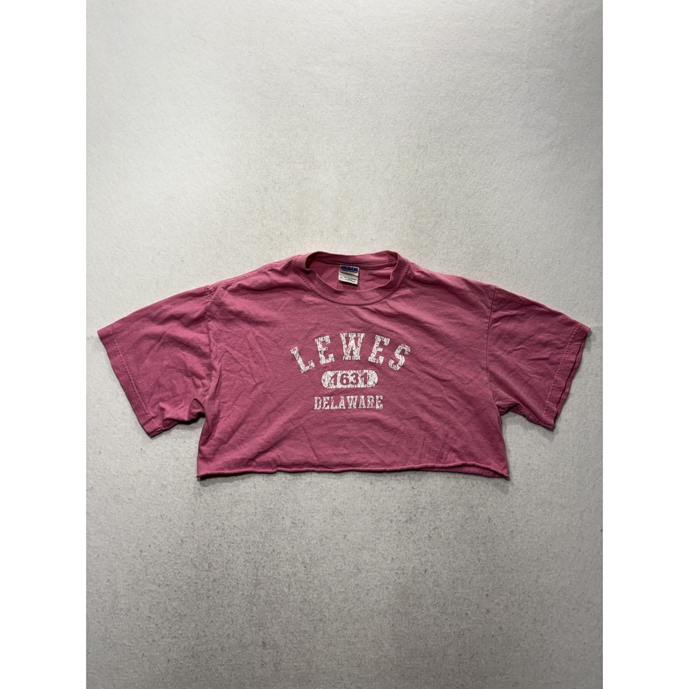 Gildan Shirt Womens Medium Pink Lewes Delaware 1631 Graphic Cropped Tee
